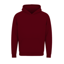 Regular Fit Hoodie
