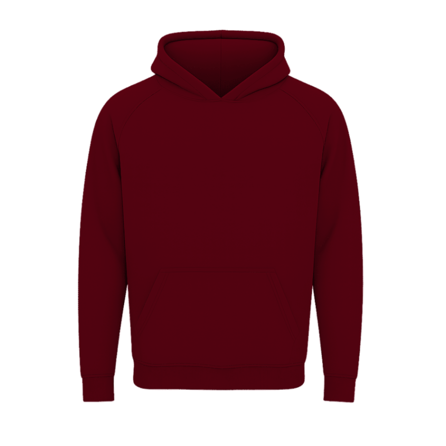 Regular Fit Hoodie