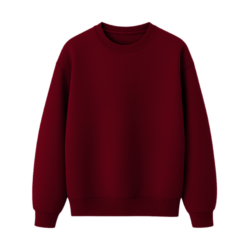 Regular Fit Sweatshirt - 300 GSM